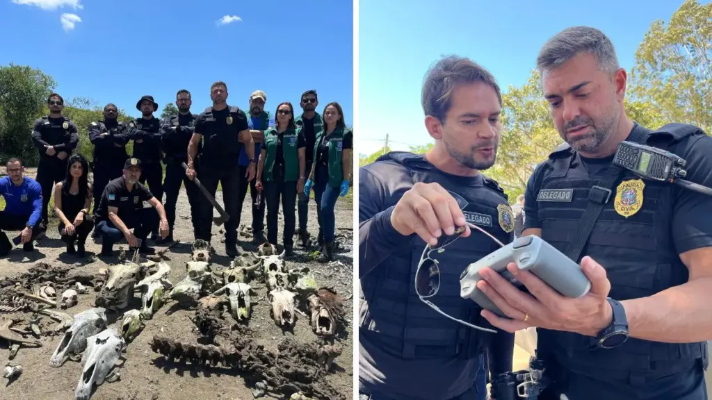 Abatedouro Clandestino Desmascarado: Violência Animal e Risco Sanitário em Vila Velha