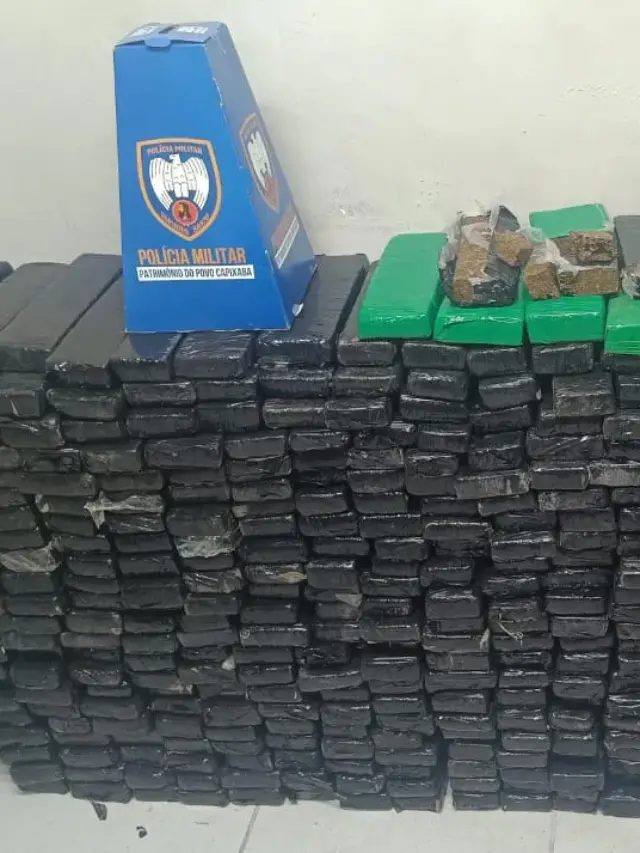 PM apreende 400 kg de maconha em Vitória