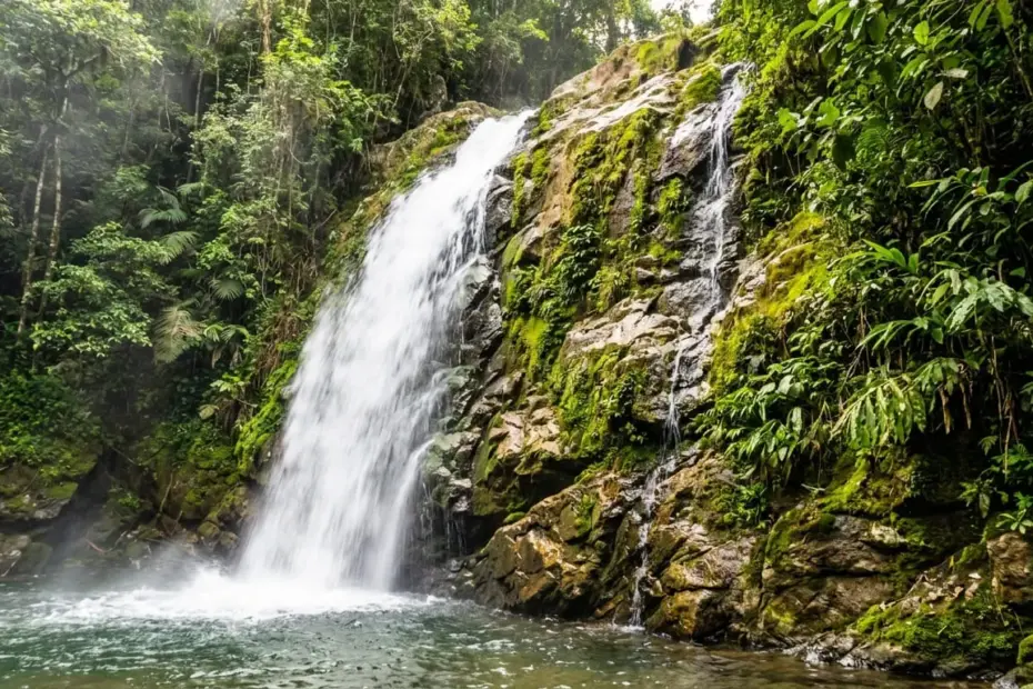 Turismo em Alfredo Chaves ES 2026 Cachoeiras, Voo Livre e Roteiros
