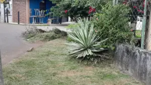 Leia mais sobre o artigo CODEG Intensifica Limpeza em Guarapari/ES para o Feriado Prolongado da Semana Santa; Praias São Prioridade