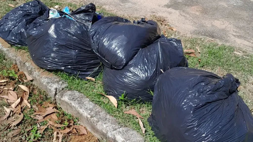 Rua interna no bairro Nova Guarapari com mato alto cobrindo a calçada e acúmulo de lixo, evidenciando falhas na limpeza urbana em Guarapari.