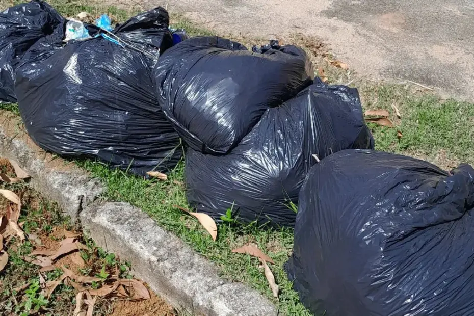 Rua interna no bairro Nova Guarapari com mato alto cobrindo a calçada e acúmulo de lixo, evidenciando falhas na limpeza urbana em Guarapari.