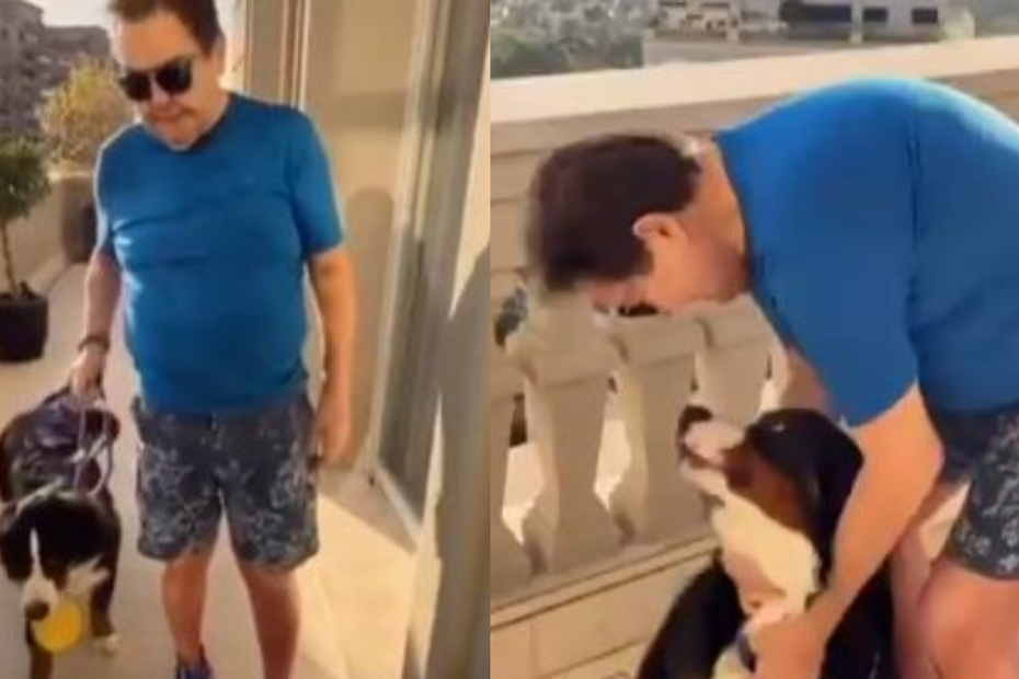 De cadeira a filhote: o que o cachorro de Faustão revela sobre recuperação — e por que Guarapari pode entrar nessa história