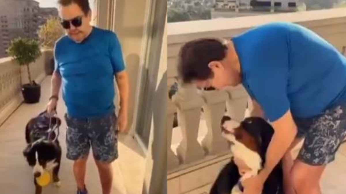 Leia mais sobre o artigo De cadeira a filhote: o que o cachorro de Faustão revela sobre recuperação — e por que Guarapari pode entrar nessa história