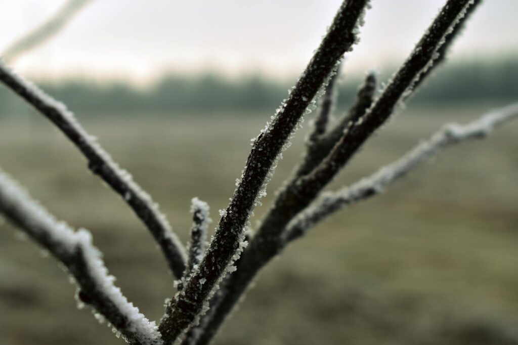 Frio histórico no Sul — paisagem congelada com geada em cidade do Rio Grande do Sul