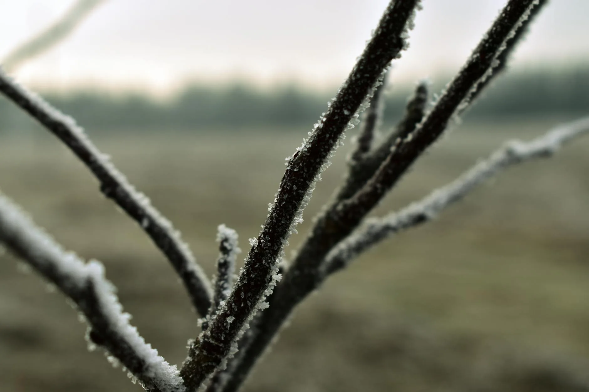 Leia mais sobre o artigo Frio histórico no Sul: SC e RS registram 0ºC hoje
