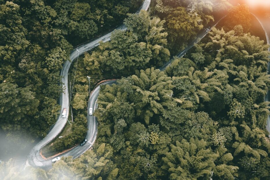 Países contra combustíveis fósseis reunidos em cúpula ambiental na Colômbia