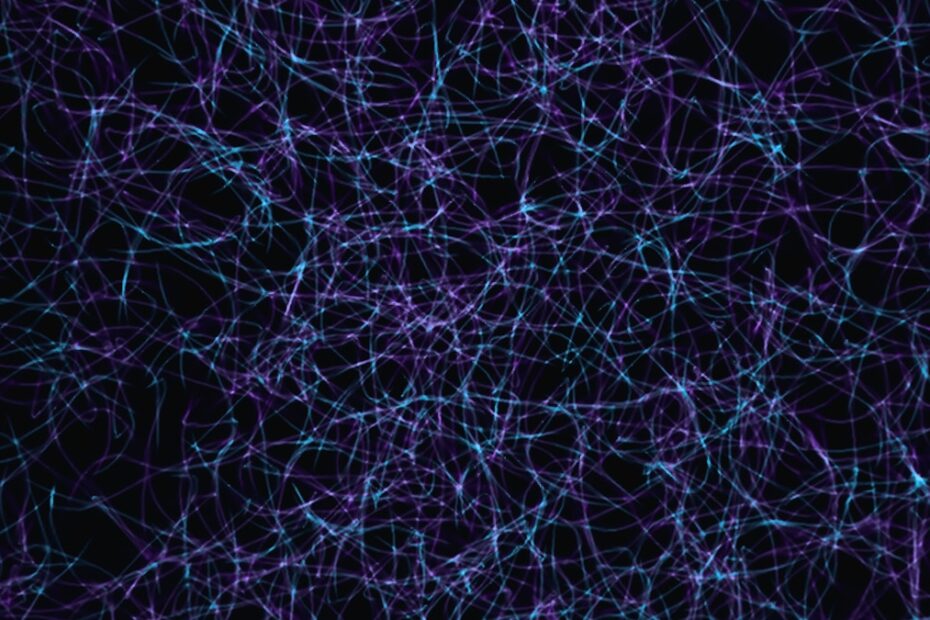 Curiosidades sobre o cérebro humano — ilustração científica mostrando neurônios e conexões cerebrais