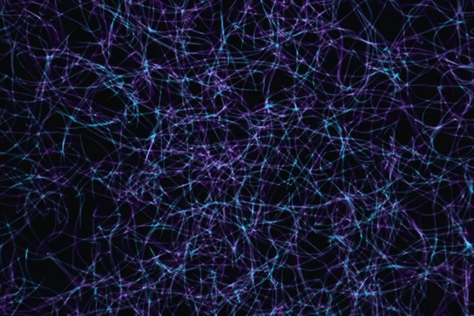 Curiosidades sobre o cérebro humano — ilustração científica mostrando neurônios e conexões cerebrais