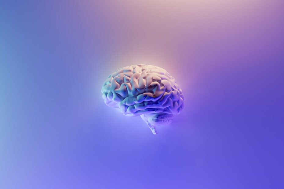 Curiosidades sobre o cérebro humano — ilustração científica de neurônios e conexões cerebrais