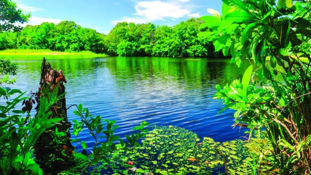 Vista panorâmica da Lagoa de Caraís no Parque Estadual Paulo César Vinha em Guarapari ES, destacando a água escura e vegetação de restinga.