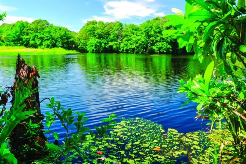 Vista panorâmica da Lagoa de Caraís no Parque Estadual Paulo César Vinha em Guarapari ES, destacando a água escura e vegetação de restinga.