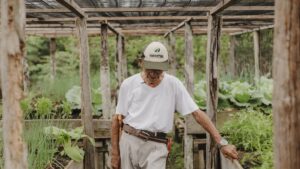 Preço ao produtor agropecuário: queda de 9,8% no 1º tri