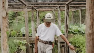 Leia mais sobre o artigo Preço ao produtor agropecuário: queda de 9,8% no 1º tri