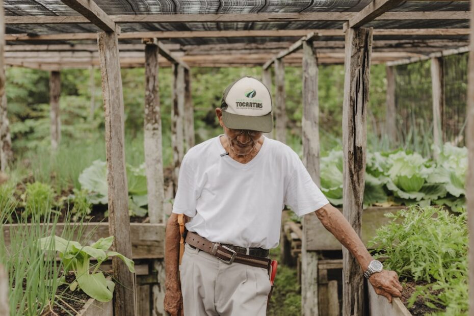Preço ao produtor agropecuário,Cepea,preços agropecuários,produtores rurais,economia agrícola ilustração