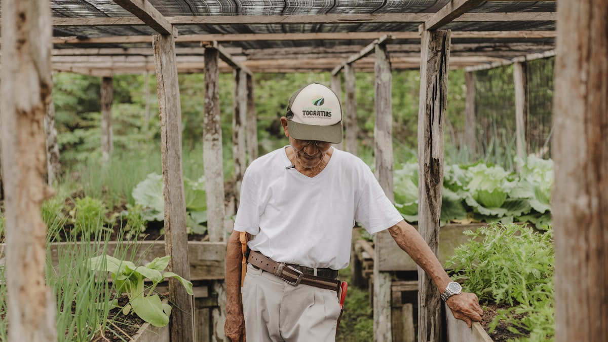 Preço ao produtor agropecuário: queda de 9,8% no 1º tri