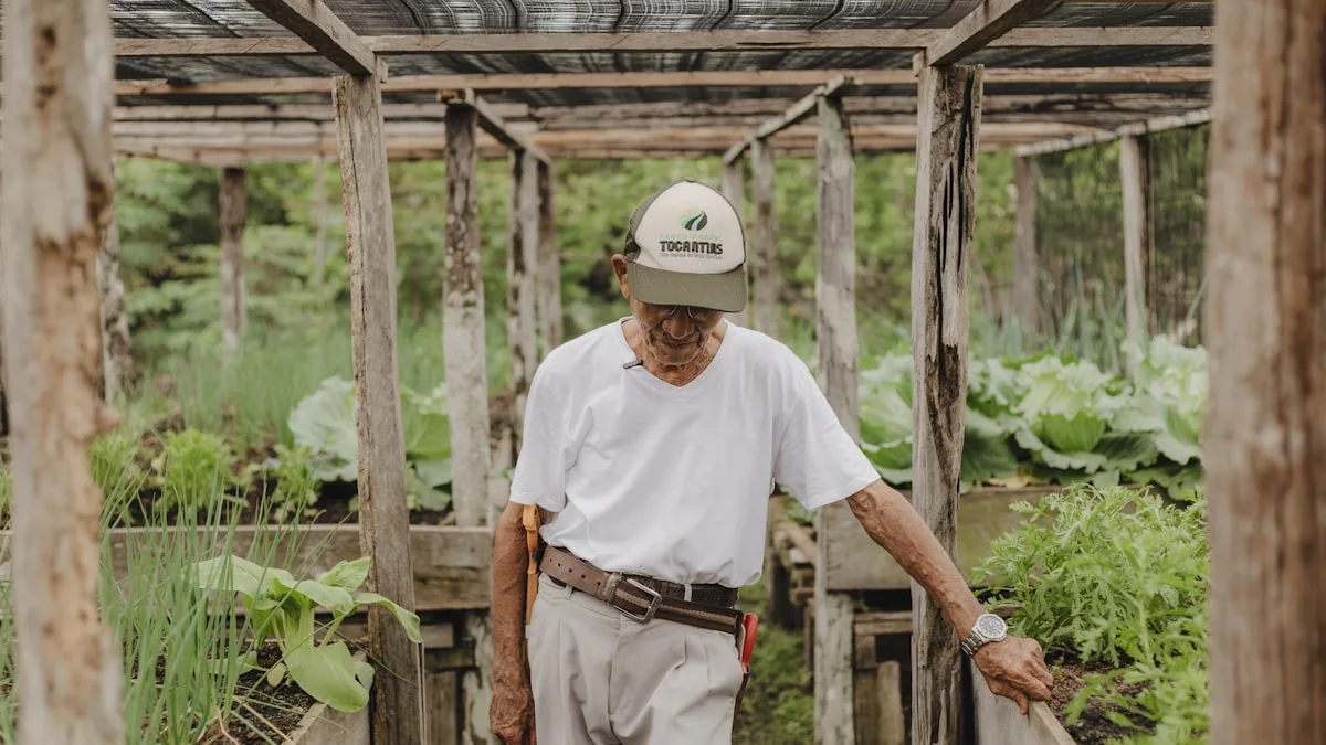 Leia mais sobre o artigo Preço ao produtor agropecuário: queda de 9,8% no 1º tri