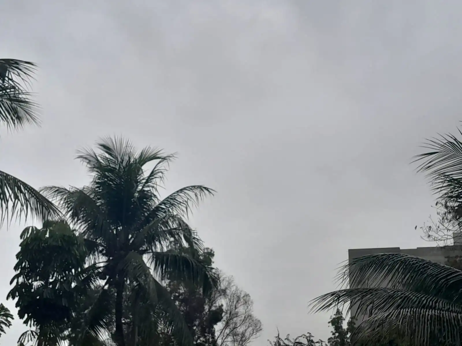 Leia mais sobre o artigo Previsão do Tempo em Guarapari Hoje, Sexta-feira 10 de Abril de 2026: Chuva em Áreas Específicas, Instabilidade e Nascer do Sol às 05h52