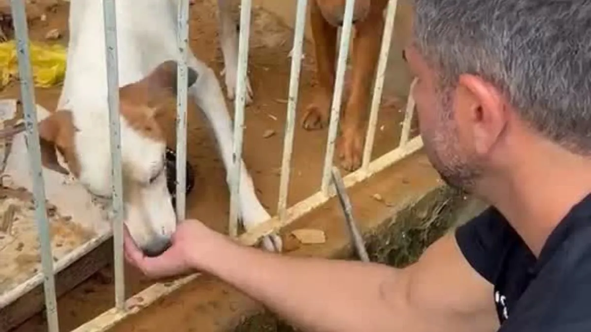 Operação Resgata Cães Vítimas De Maus-Tratos No Bairro Planeta, Em Cariacica