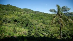 Conflitos no campo: mortes dobram em 2025 — CPT