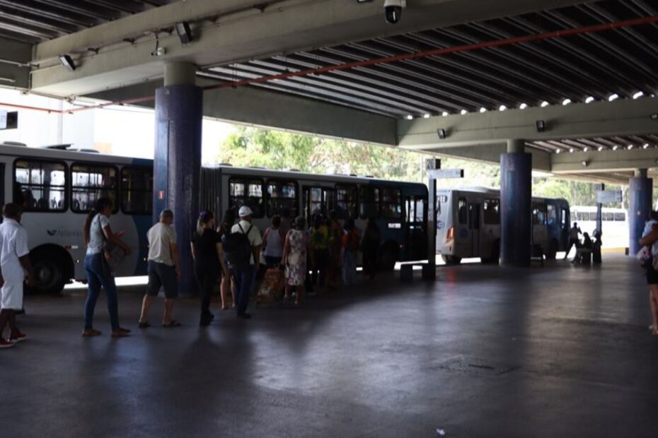 Linha 806 Do Transcol