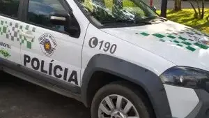 Homem de 27 anos é preso em Ibaté por maus-tratos a animais após 136 cadávres encontrados em sua fazenda.