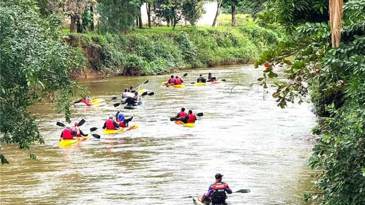 Leia mais sobre o artigo Alfredo Chaves celebra Semana do Meio Ambiente com ações educativas