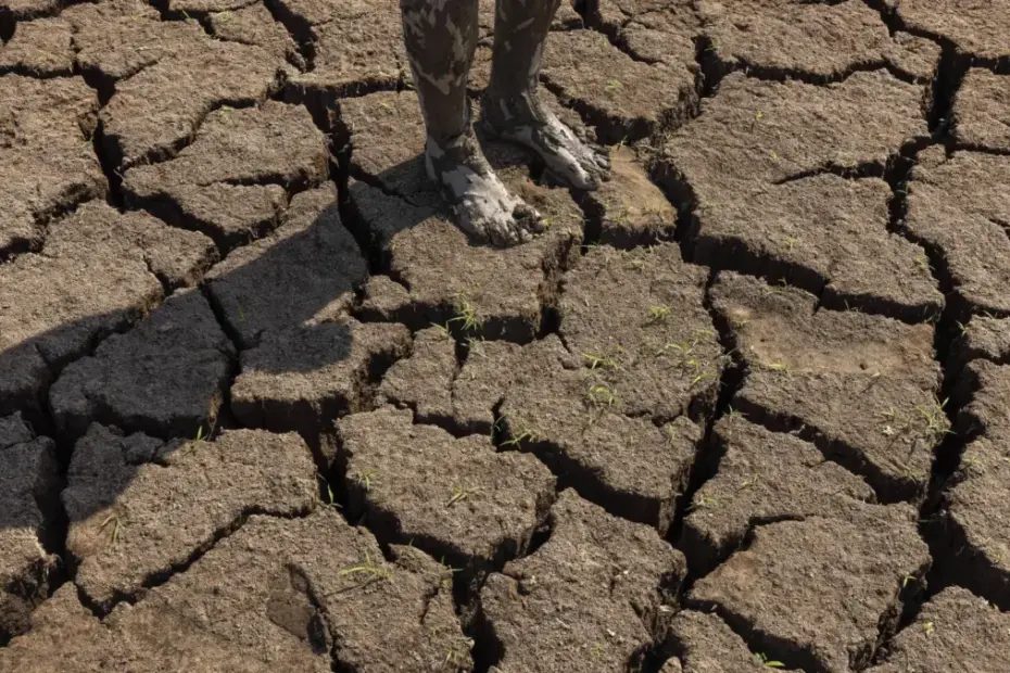 El Niño em destaque com gráfico mostrando intensificação e previsão de impactos climáticos no Brasil.